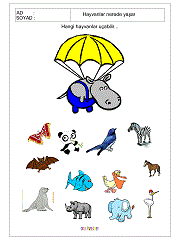 hangi hayvanlar uçabilir çalışma sayfaları